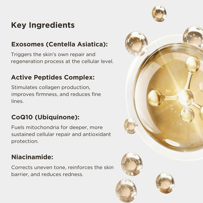 Key ingredients of a skincare product with exosomes, peptides, CoQ10, and niacinamide on a light gray background.